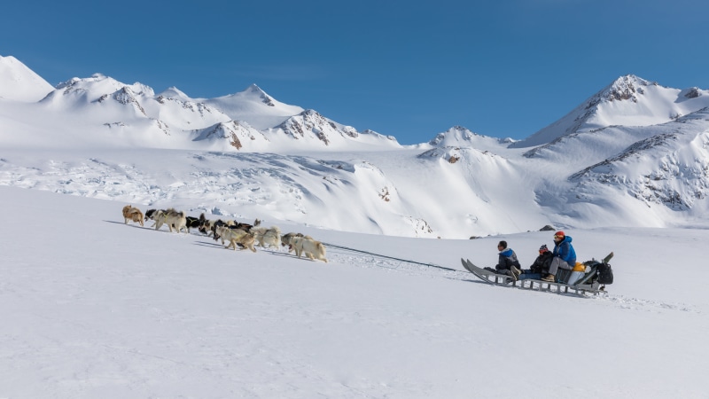 dog, outdoors, Apusiaajik Glacier, Kulusuk, dogs, three, person, sport, mushing, dogsledding, people, wolves, winter, nature, mountain Peak, expedition