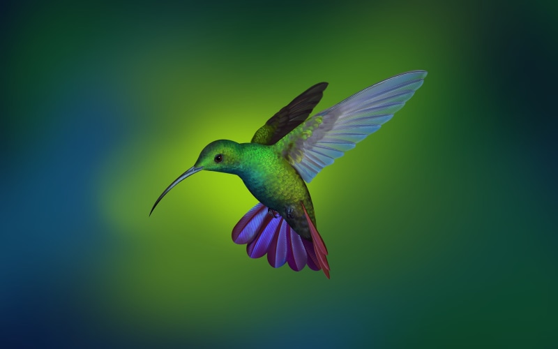 Manjaro, 2K, Linux, Shu Le, Deepin, Hummingbird