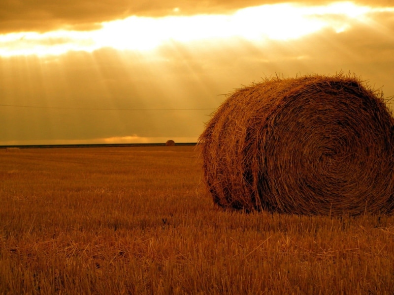 bright, plant, farm, lights, rural scene, sky, field, horizon, land, environment, tranquil scene, 720P, hays, no people, yellow, hay, tranquility, sunset