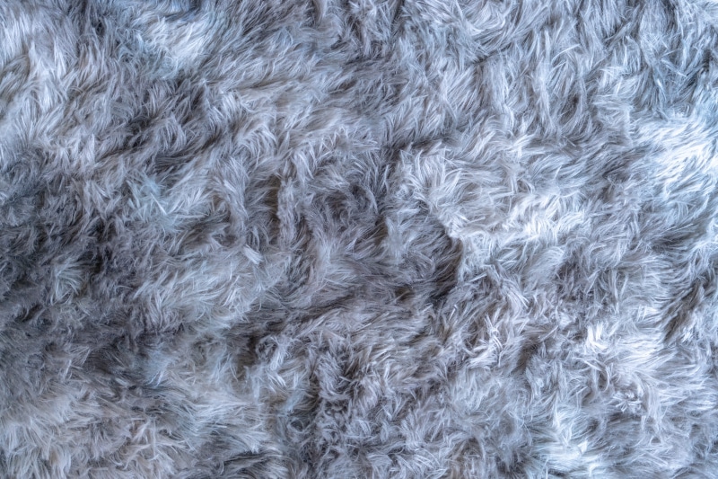 textile, animal themes, one animal, blanket, warm clothing, grey, wool, hair, animal, close-up, softness, pattern, full frame, mammal, texture, gray, 5K