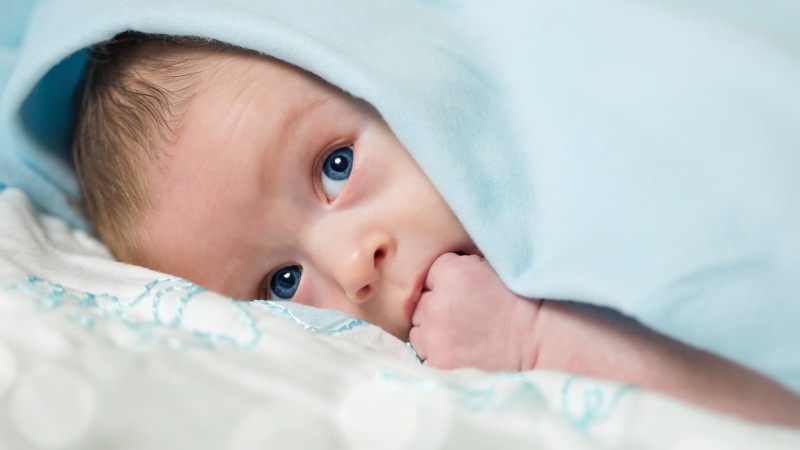 one person, baby clothing, new life, portrait, relaxation, lying down, headshot, childhood, baby, blankets, child, eye, looking at camera, blue, children