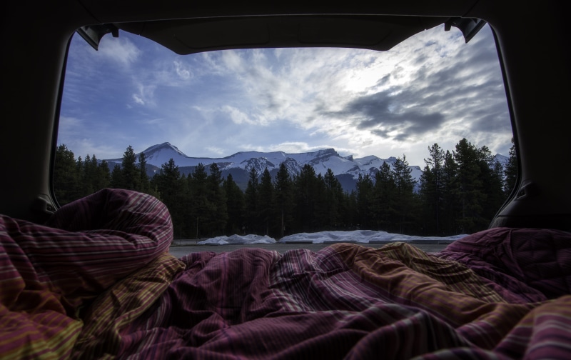camping, tree, forest, no people, pink, landscape, campervan, scenics - nature, green, plant, 4K, sky, beauty in nature, land, water, day, blanket, body