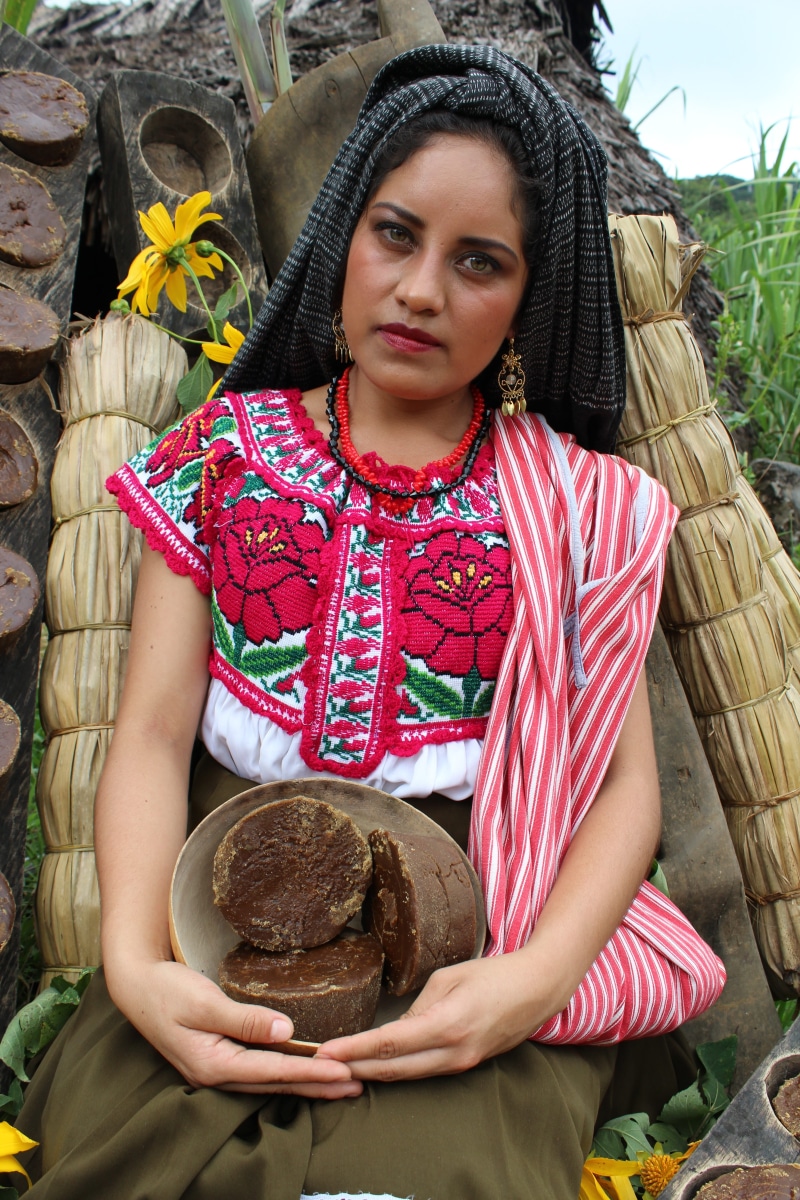 looking at camera, indian, beautiful woman, adults only, sari, one woman only, sitting, regional, front view, daytime, lifestyles, oaxaca, traditional clothing