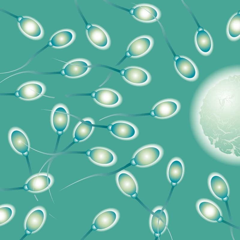 Sex, life, Male, Sexual, 720P, vector, sperm, bokeh, men, Cell, egg, eggs, abstraction, Medical, abstract, DNA, man, psychedelic, Mating, Swim, 1sperm