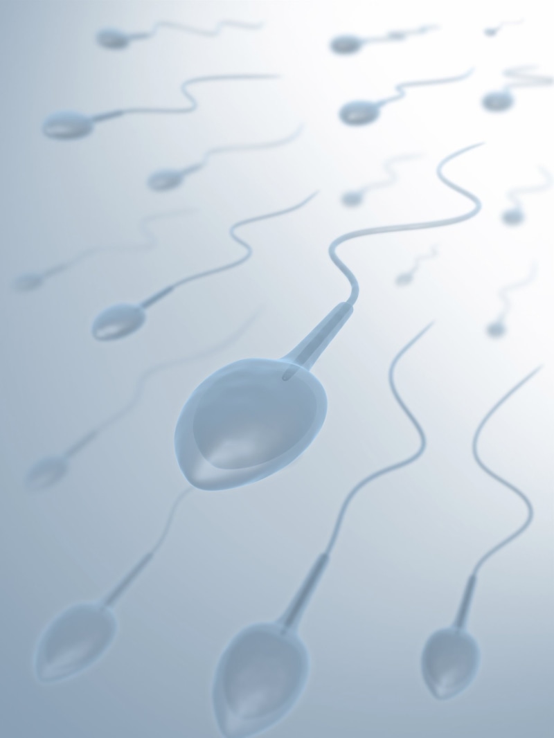 2K, Sex, sperm, colored background, still life, Swimming, science, connection, Sexual, water, selective focus, day, egg, DNA, environment, no people, Male