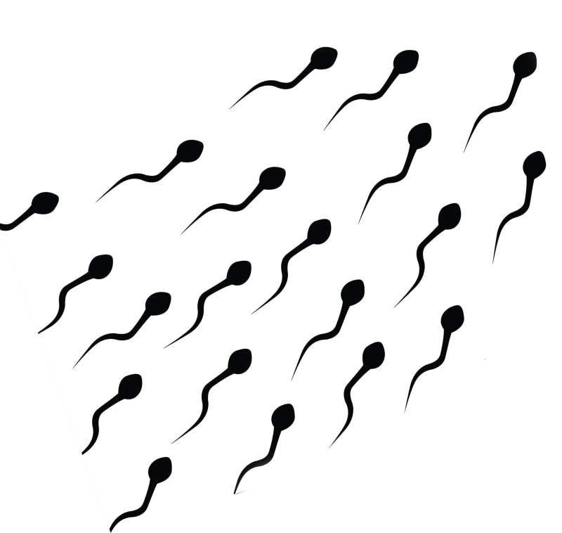 Sexual, life, men, psychedelic, Swim, Medical, vector, Cell, DNA, bokeh, abstraction, 1080P, Sex, egg, 2319x2200 px, eggs, Male, Mating, abstract, Swimming