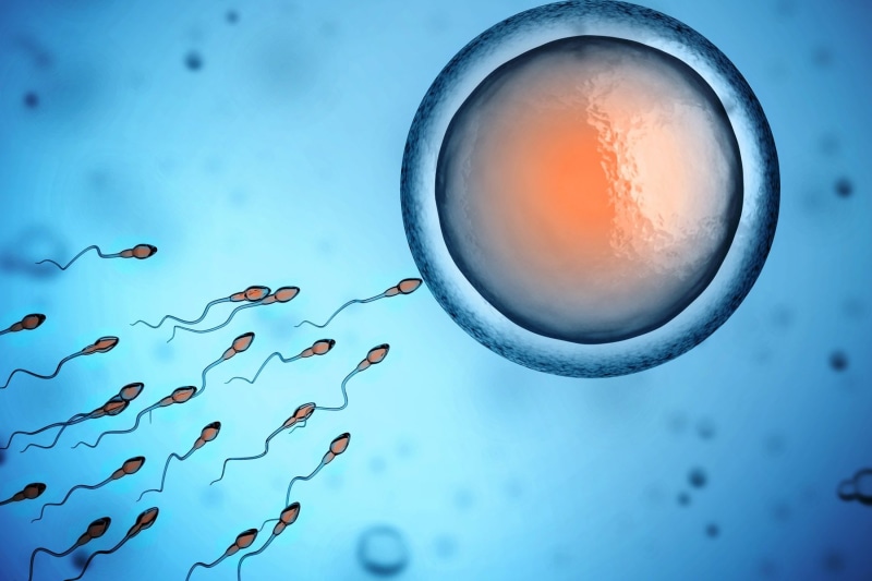 science, transparent, focus on foreground, no people, 1sperm, 720P, Cell, sperm, men, healthcare and medicine, shape, Swim, vector, life, DNA, Mating