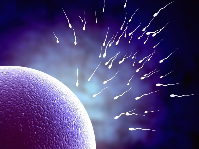 bokeh, Sexual, abstract, Sex, egg, men, Male, 4K, psychedelic, Swimming, Medical, Swim, life, sperm, vector, abstraction, DNA, man, 4975x3724 px, Mating