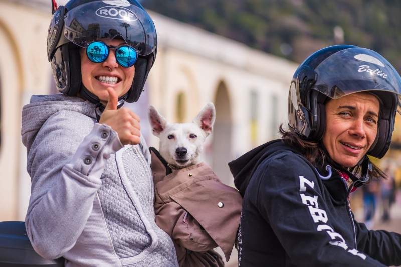 differences, awesome, vespa, portrait, sexuality, pet owner, cannes, warm clothing, makeday, happiness, unsplash, domestic animals, people, travel, mammal