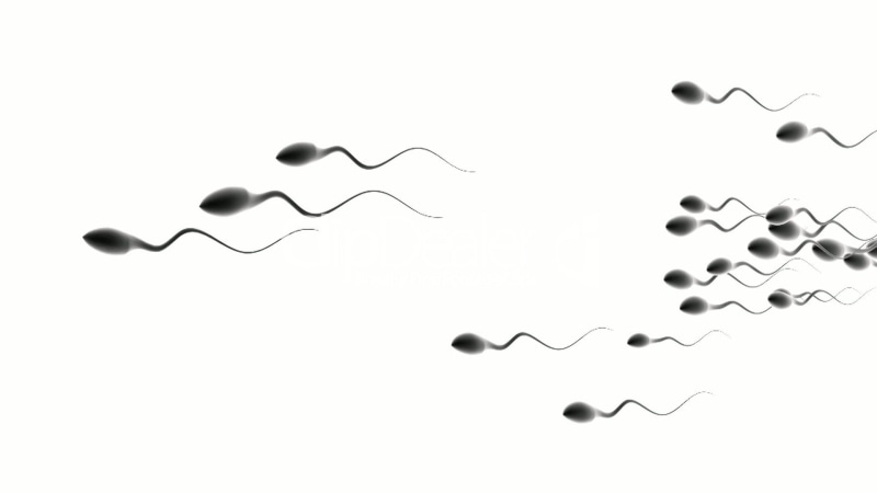 eggs, Sex, Swim, vector, 1080P, 1sperm, life, Sexual, sperm, Mating, bokeh, Male, egg, man, DNA, men, Medical, abstraction, Swimming, Cell, psychedelic