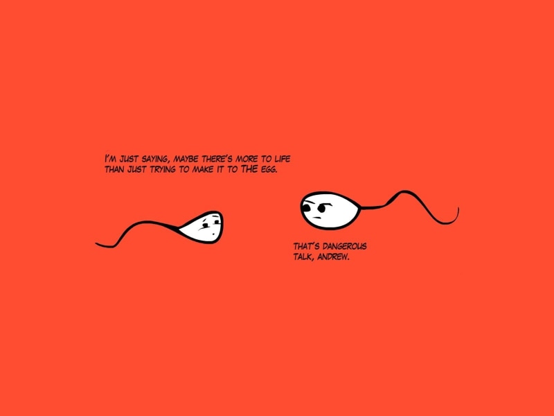 sperm, Cell, sign, Swimming, communication, 1sperm, business, computer icon, life, Sexual, man, Male, message, backgrounds, creativity, bokeh, healthcare and medicine