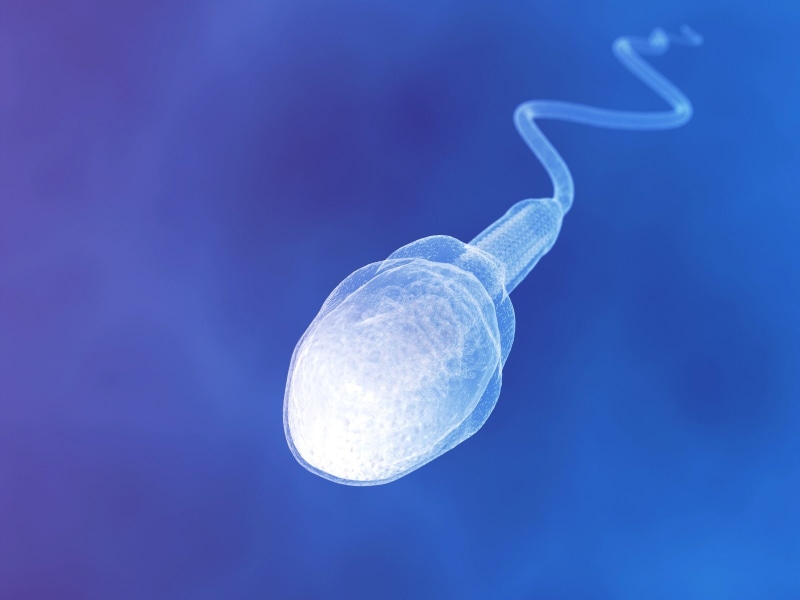 animal wildlife, sea, jellyfish, Swim, egg, night, beauty in nature, animal, abstract, man, Medical, eggs, colored background, Mating, sea life, Cell, blue