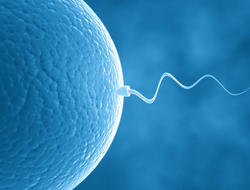 space, Cell, life, no people, sunlight, man, selective focus, Sex, vector, extreme close-up, DNA, sport, design, blue, Mating, Medical, eggs, nature, men