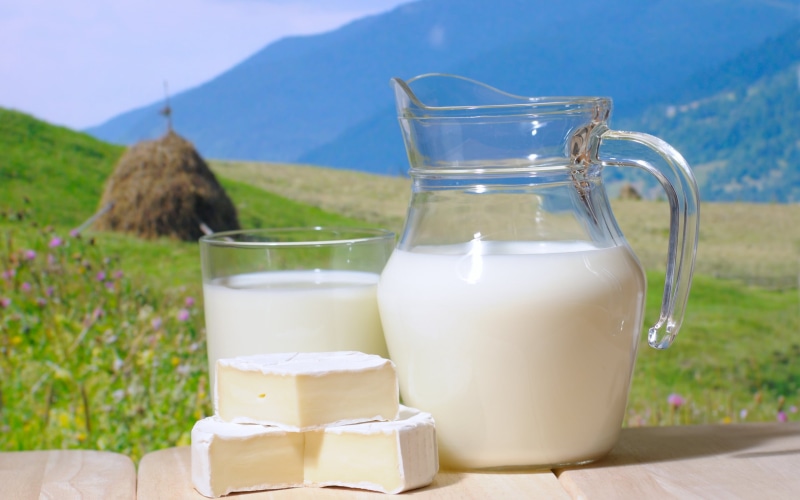 drink, dairy Product, container, gourmet, wood - Material, yogurt, nature, day, food, cheese, pitcher, breakfast, dieting, dairy Farm, freshness, meal