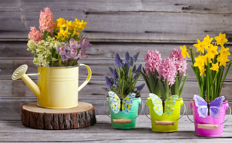 bouquet, floral, fragility, yellow, pitcher - jug, vulnerability, several, Daffodils, CanterburyBells, hd, Spring, Butterfly, flower head, flower