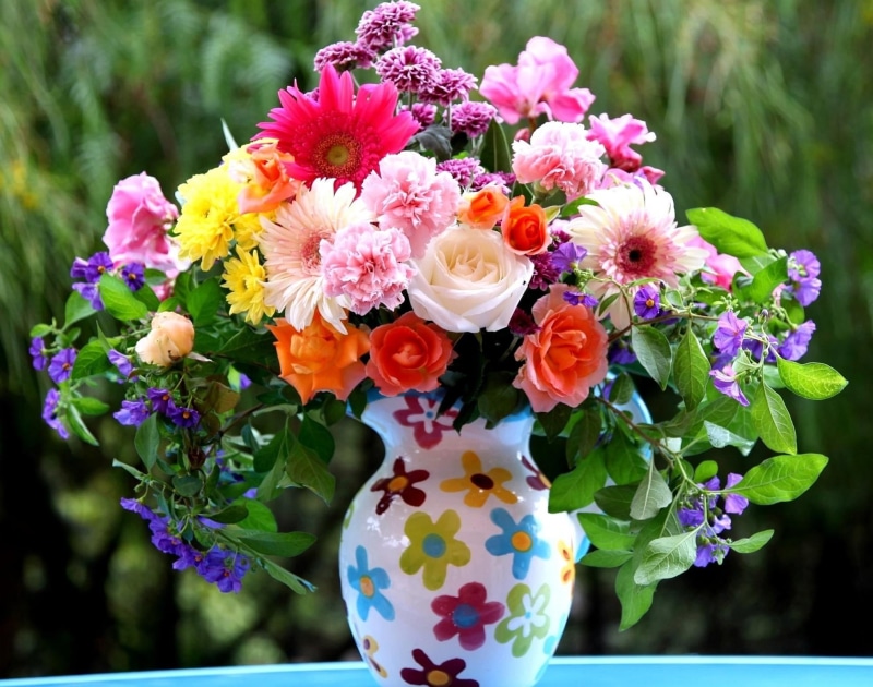flower arrangement, backgrounds, flower, botany, beauty In Nature, growth, pitcher, purple, color, multi Colored, flowering plant, rose - Flower, plant part