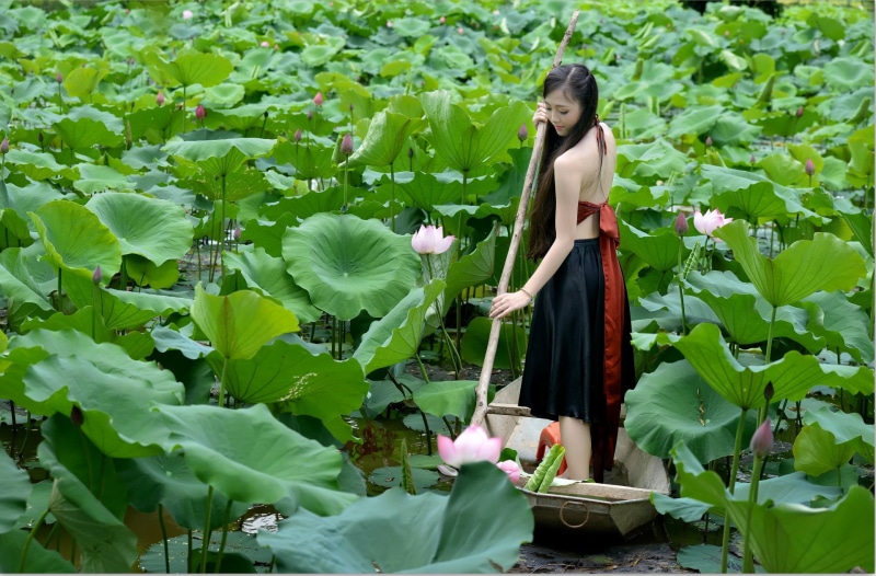 beautiful woman, Girl, lifestyles, Boat, flowering plant, one person, Pond, Flower, fashion, hair, Asian, Women, 1080P, real people, beauty in nature