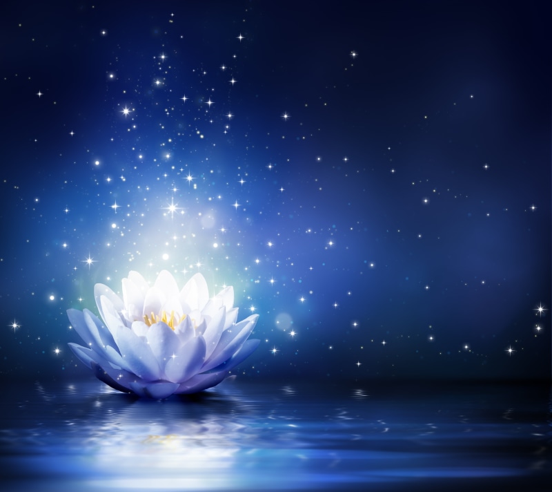 blue, season, reflection, valentines day - holiday, softness, glowing, holiday - event, freshness, emotion, bright, bloom, blue background, star - Space