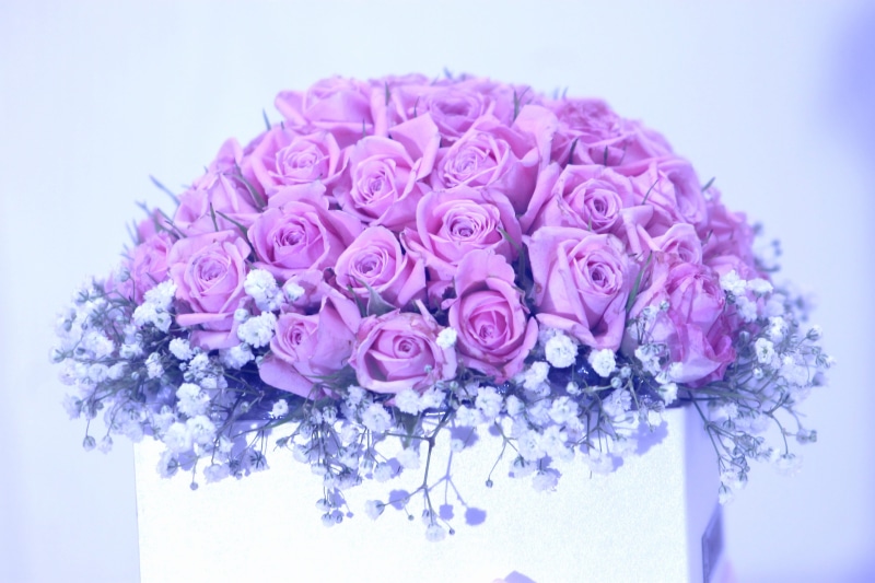 roses, flower, vase, no people, freshness, purple, inflorescence, flowering plant, softness, breath, vulnerability, baby, fragility, arrangement, bunch of flowers