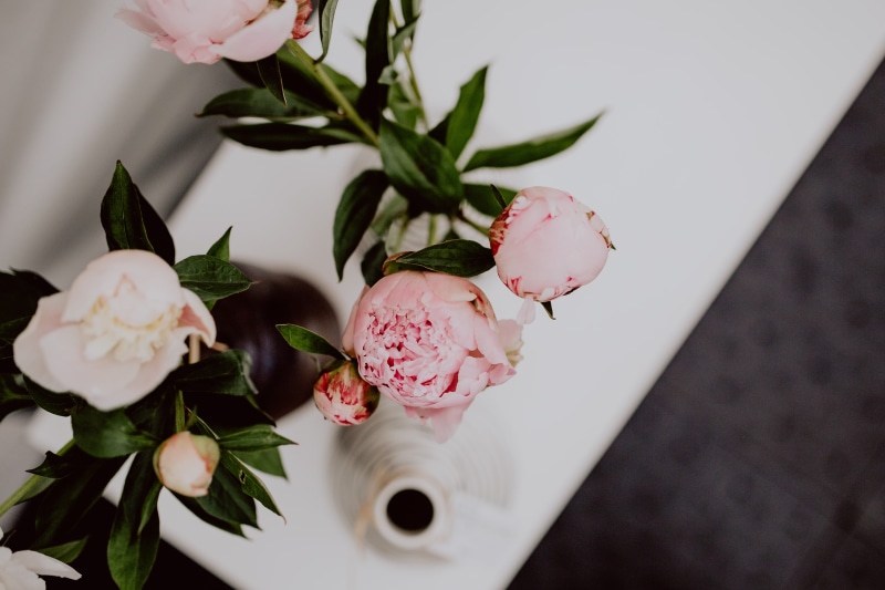 peonies, flower head, springtime, pink color, indoors, close-up, vase, bloom, peony, flower arrangement, leaf, rose - flower, fragility, plant part, flowering plant