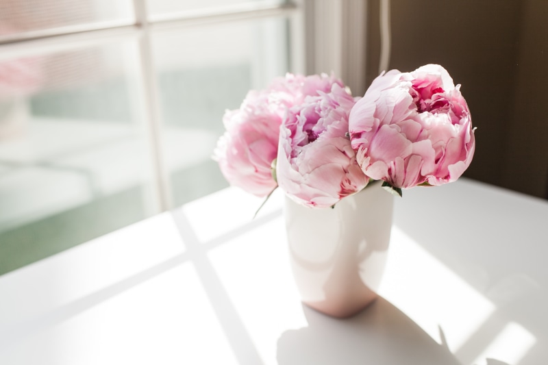 bouquet, beauty in nature, celebration, vulnerability, rose - flower, flower head, day, flower, flowers, table, pink color, vase, white, fragility, peonies