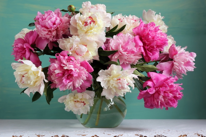 vase, 2K, flowers, still life, white, peonies, pink, bouquet
