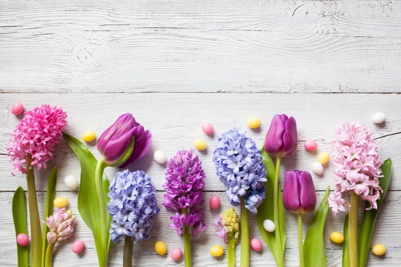 spring, tulips, Happy, eggs, daffodils, decoration, colorful, flowers, the painted eggs, Easter, wood, 5K, crocuses