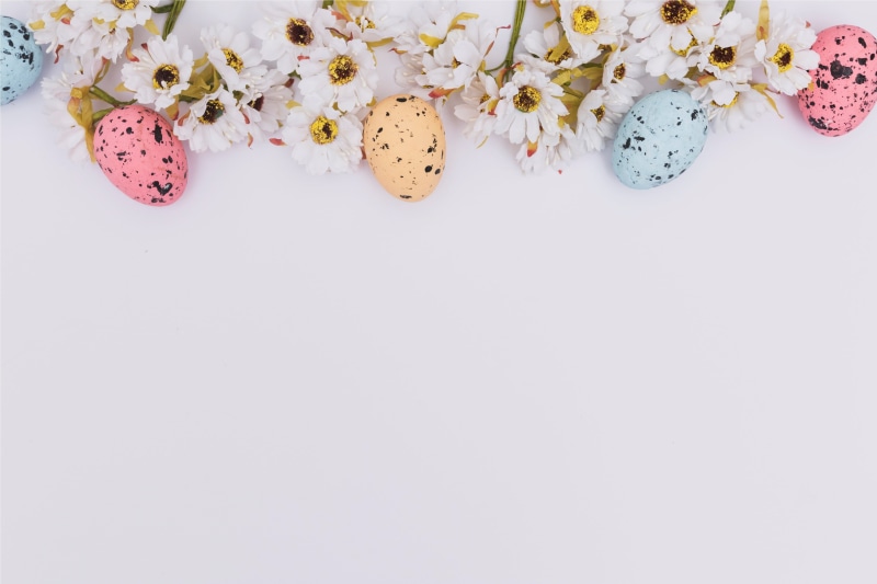 flowers, spring, 4K, eggs, Happy, Easter, tender, pink, chamomile, the painted eggs, decoration