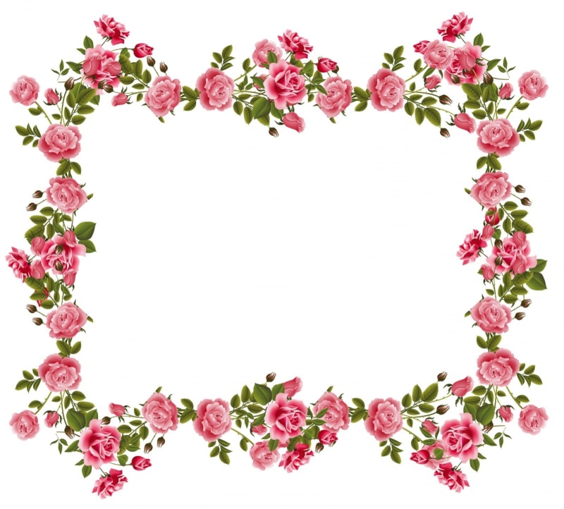 cut out, plant, copy space, freshness, green, digital composite, green color, white, vulnerability, nature, trandafiri, flower head, pink color, floral pattern