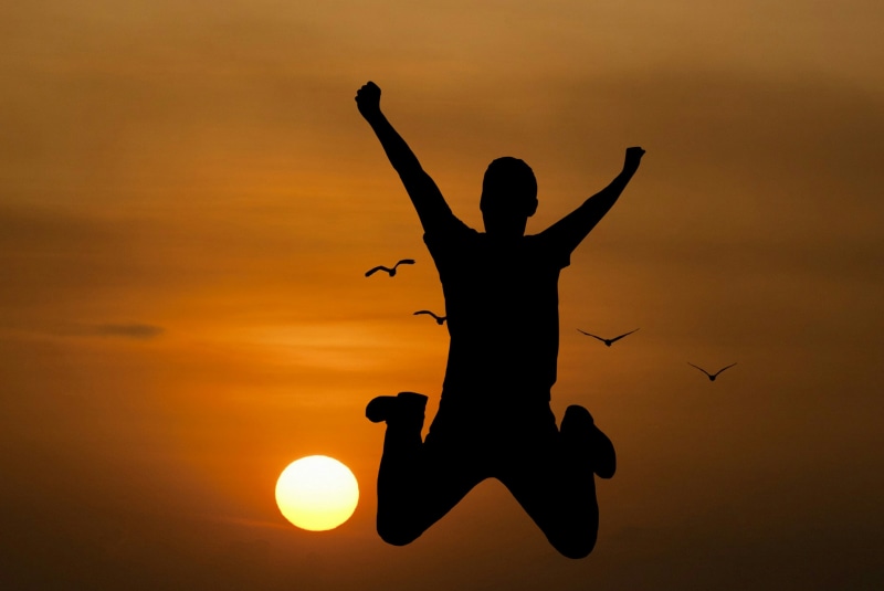 silhouette, joy, people, nature, active, happy, arms outstretched, carefree, men, human limb, jumping, sunset, 2K, dusk, sunrise, happiness, birds, success