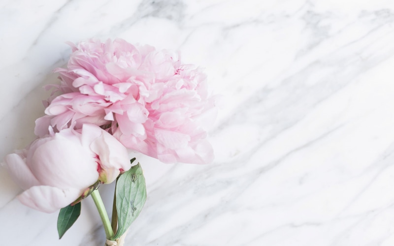 Flowers, 2K, Peony