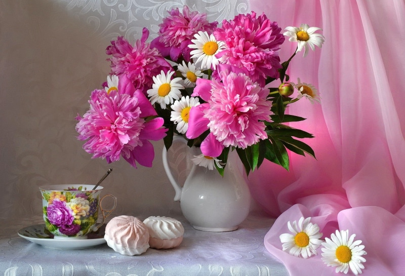 table, glass, White Flower, no people, beauty in nature, indoors, pink color, nature, vase, fragility, 1080P, Cookie, vulnerability, Pink Flower, plant