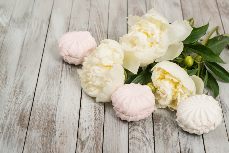 petal, 2K, white, marshmallows, vulnerability, still life, valentine`s day, wood - material, fragility, romantic, inflorescence, flower arrangement, high angle view