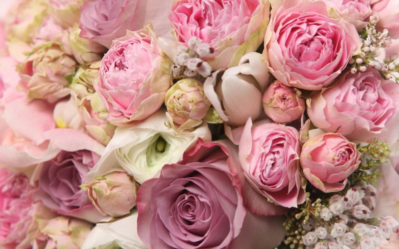 pink, purple, roses, bouquet, peony, 1080P, flowers, 1920x1200, peonies, rose, white