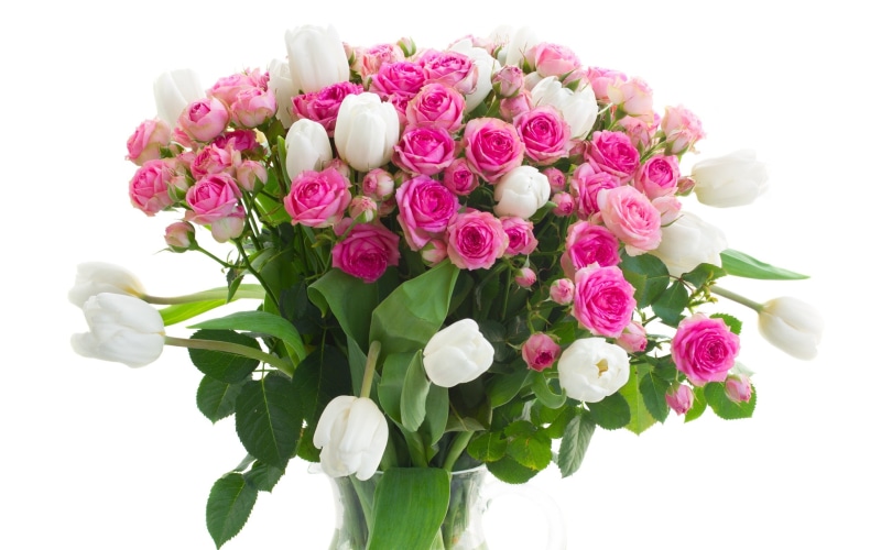 2K, Pink, Tulips, Roses, Vase, White, Flowers