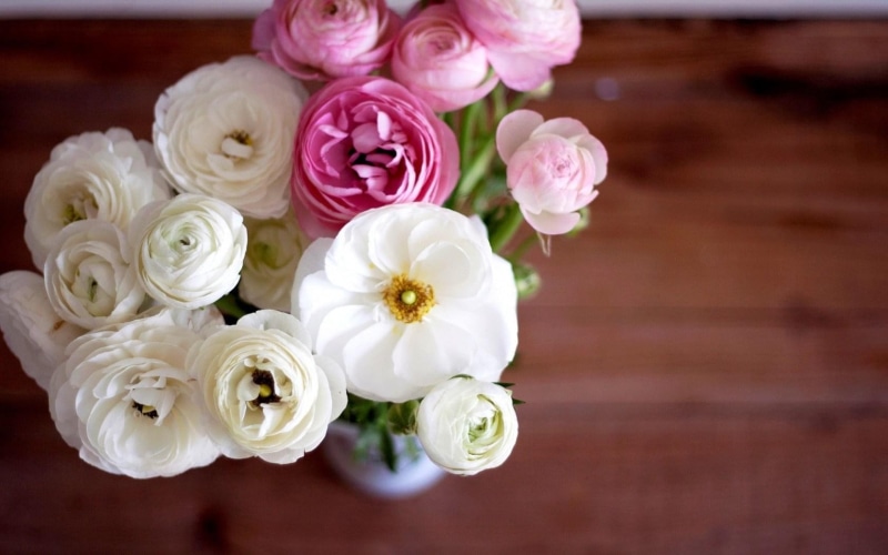 pink, flowers, white, 720P, vase, bouquet, petals, ranunculus