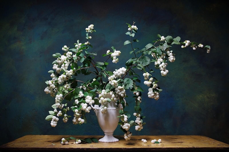 romance, leaves, love, centerpiece, white color, springtime, plant, wood - Material, fragility, flowering plant, retro Styled, bouquet, blossom, nature