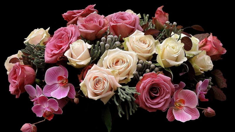 1080P, arrangement, bunch of flowers, bouquet, freshness, flowers, indoors, rose, elegance, fragility, roses, moth, white, flower Head, beauty In Nature