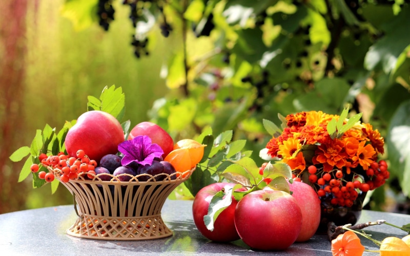 Table, Apples, Plums, Life, 2K, Flowers, Still, Leaves, Fruit