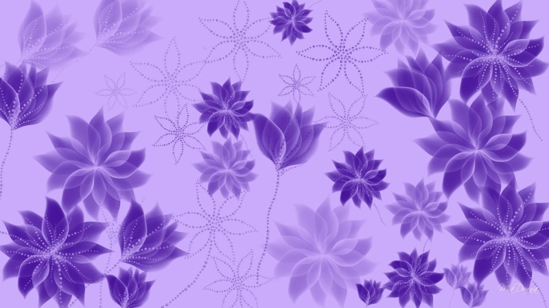 firefox persona, radiance, purple, flowers, lilac, 3d and abstract, purrrples, lavender, 1080P