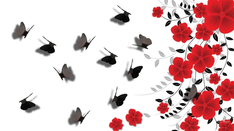 black, shadows, collage, butterflies, spring, red flowers, 1080P, shadow, white, summer, nature and lands, leaves, flowers, red