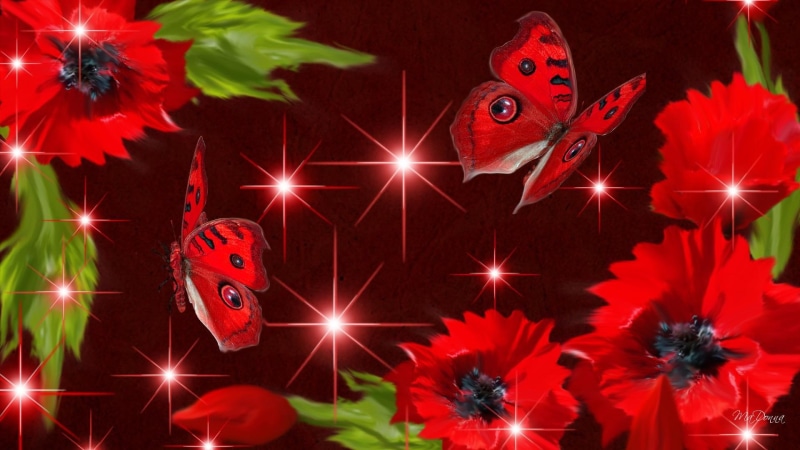flowers, stars, red butterflies, poppies, sparkles, red, summer, spring, 3d and abstract, 1080P, red poppies