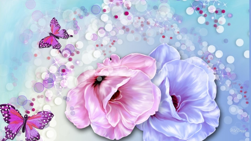 butterflies, nature and landscapes, song, two, scatter, purple, poppies, summer, bokeh, 1080P, flowers, roses, spring, blue, pink