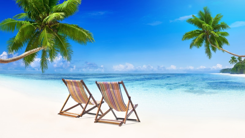 blue sky, sky, summer, tree, vacation, blue, beach, palm, sea, 1080P, palm tree, nature