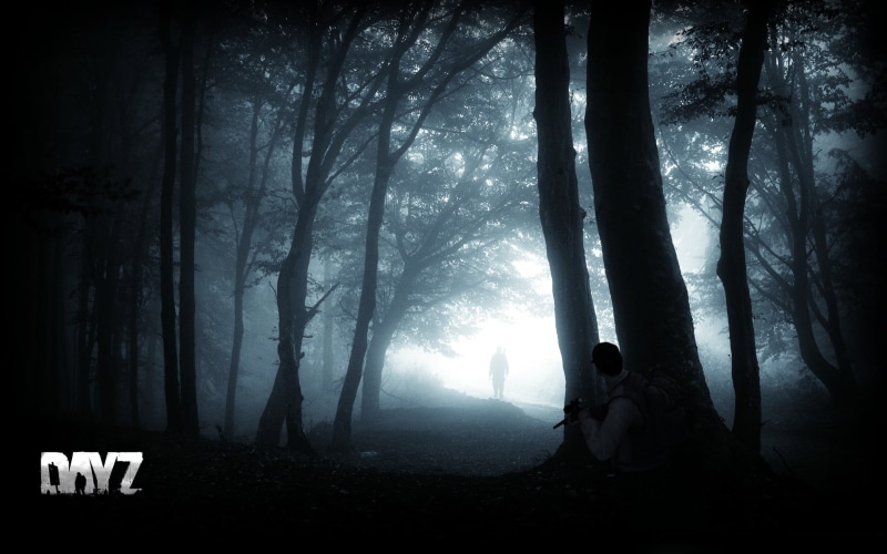 forest, plant, tree, silhouette, beauty in nature, land, shirt, sleeved, tree trunk, tranquil scene, people, DayZ, growth, outdoors, tranquility, video games