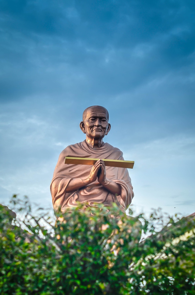 people, face, plant, worship, temple, buddhism, asia, ayudhaya, thailand, buddha, young adult, males, sculpture, novice, low angle view, mid adult men