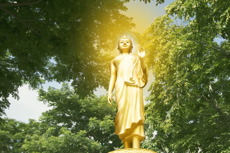 looking, small, thailand, asian, peace, tree, isolate, young, human representation, idol, child, cheerful, senior, caucasian, thai, Isolated, age, Gold