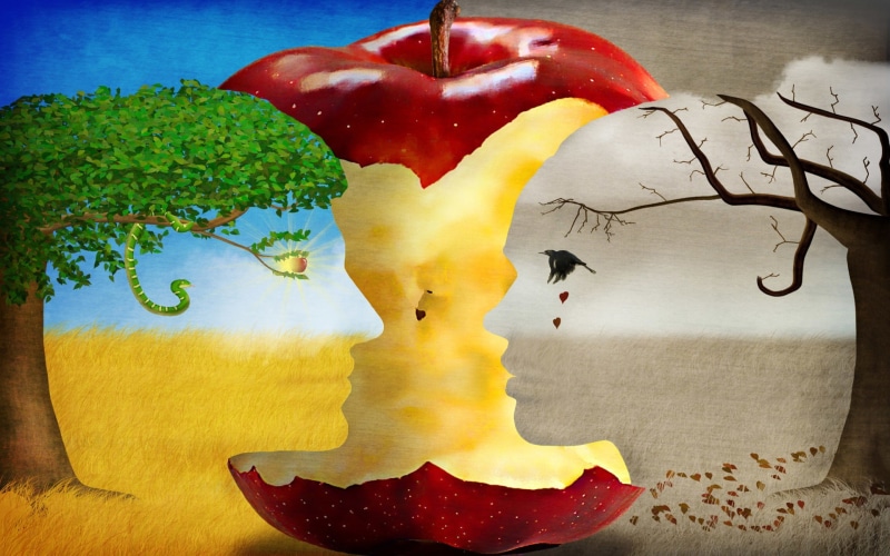 snake, fruit, women, artwork, tears, Crow, 1080P, leaves, imagination, men, Trees, Fall, digital art, summer, sun, face, eyes, field, Apples, Optical Illusion