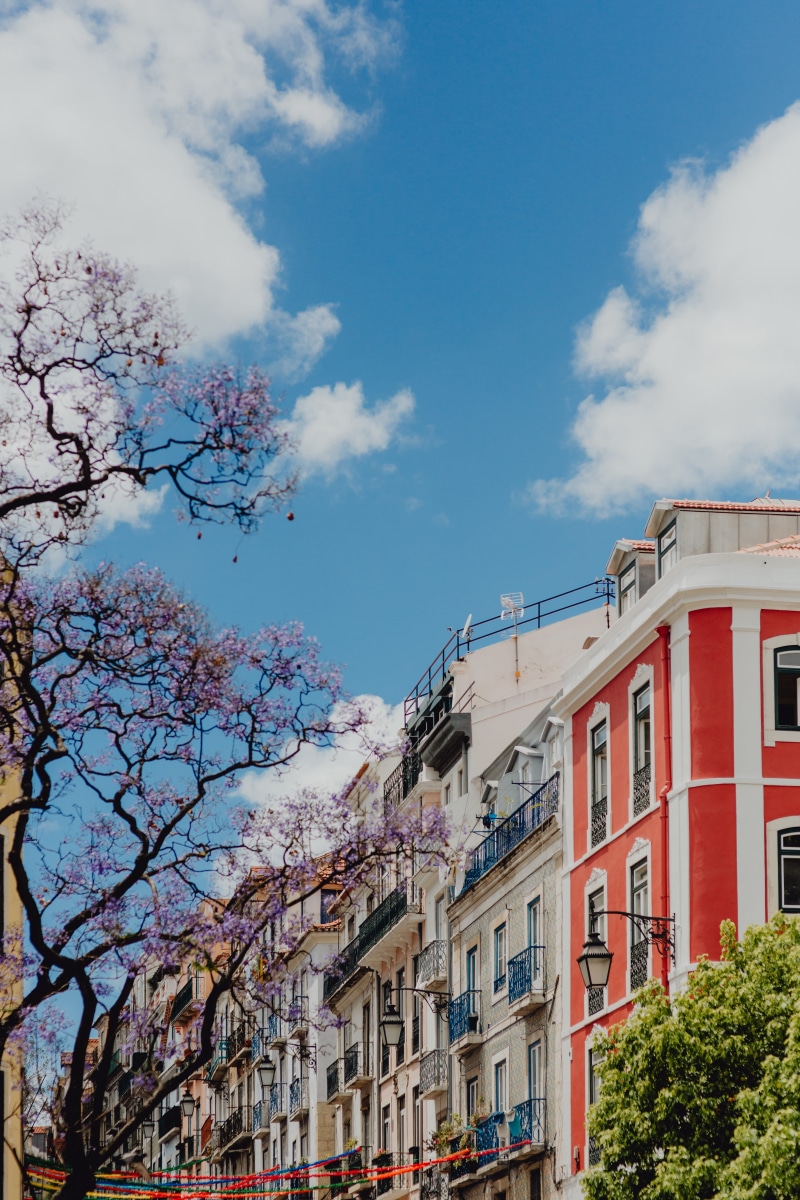 lisboa, june, no people, low angle view, tree, row house, window, town, facade, colorful, building, residential district, outdoors, Europe, cityscape, portugal
