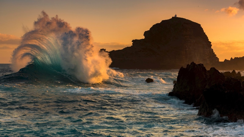 moniz, porto, 2K, madeira, Nature, portugal